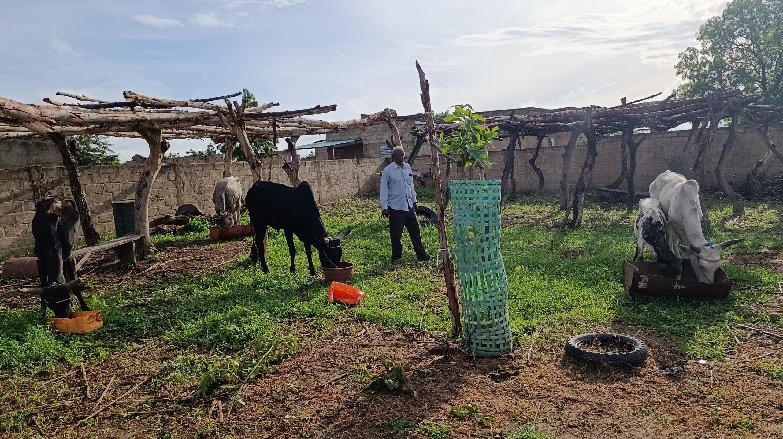 Ferme Tapsoba Salam 