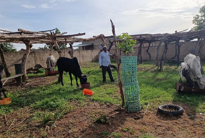 Ferme Tapsoba Salam 